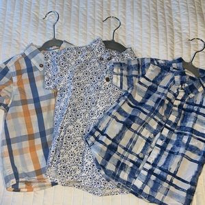 Set of 3 short sleeve button down
